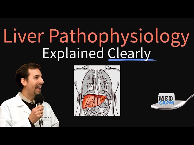 Liver Explained Clearly - Pathophysiology, LFTs, Hepatic Diseases