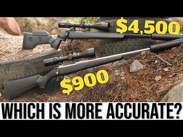 Cheap Rifle vs. Expensive Rifle: Does Price Buy Accuracy?