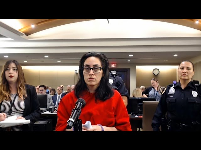 Brutally Stabbed an Elderly Woman In Public—Now Wants Probation | Judge Boyd RAGES, Slams Max Prison