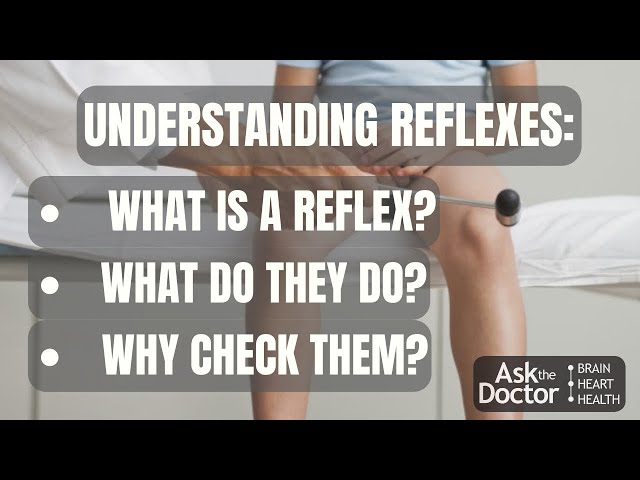 What is a reflex?