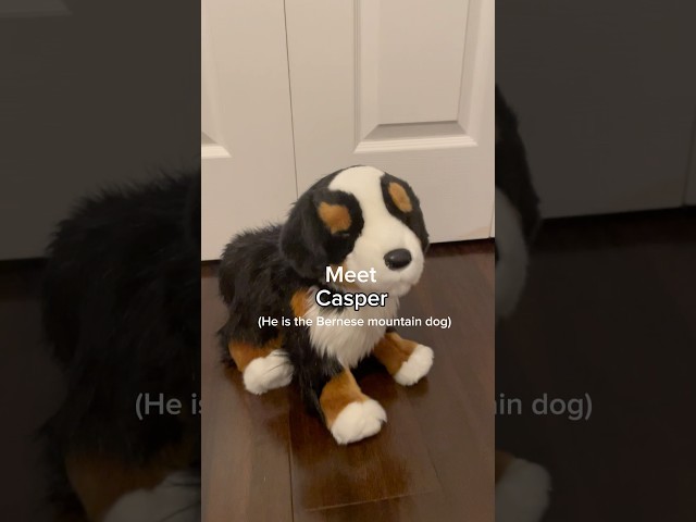 Getting my first ever Douglas dog! (Best day ever) #essa #stuffedanimals #unboxing