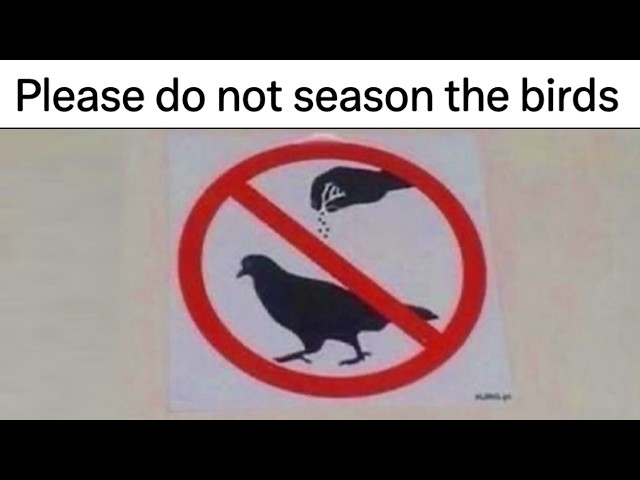 Pun Memes