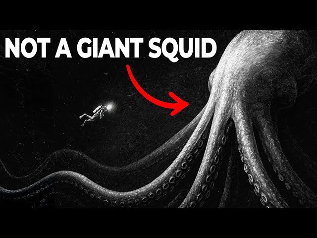 Why Evolution Made the Same Giant Animal Twice