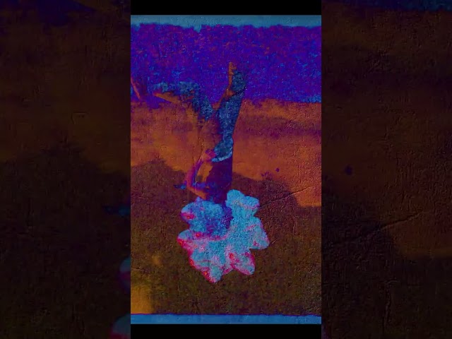 Collage Animation in After Effects ✂️ (Mixed Media Style) #scrapbookingAnimation