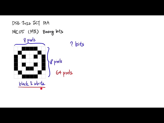 DSE 2022 ICT MC05 -  Binary bits