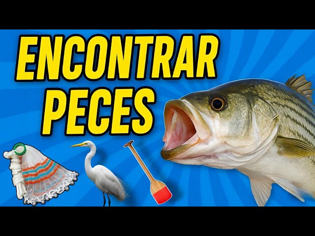 5 TRUCOS para ENCONTRAR PECES (Secretos Revelados)