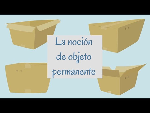 La noción de objeto permanente de Piaget