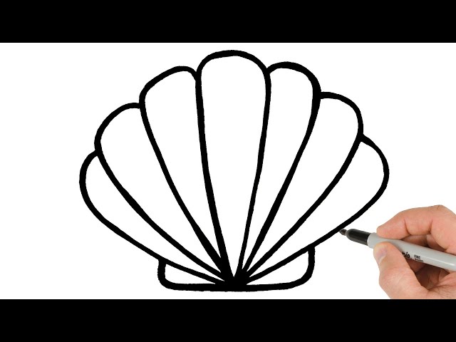 How to Draw a Shell | Super Easy Step-by-Step Tutorial!