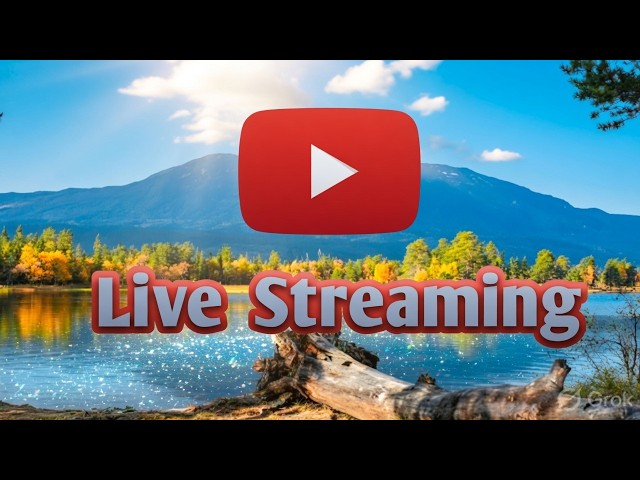 Live Streaming