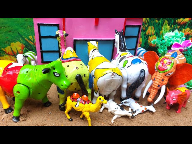 ¡GUAU!🤩💞‼️PROCESO‼️DE CORTE DE VACA🐄🦌🐫🐘‼️SACRIFICIO‼️Videos de vacas 988