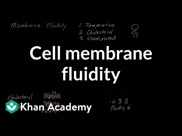 Cell membrane fluidity | Cells | MCAT | Khan Academy
