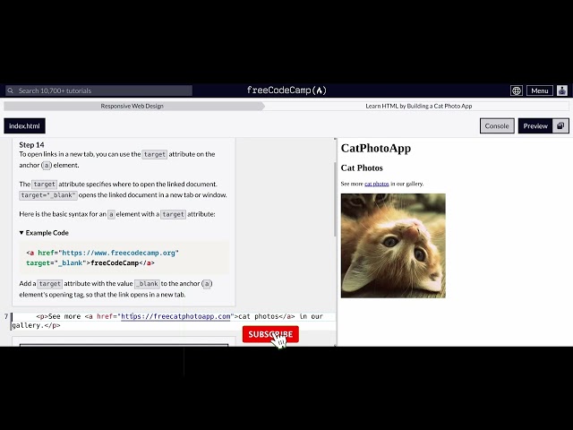 Responsive Web Design  -  Cat Photo App   13,14,15