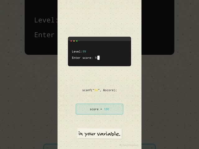 Basics of a C program