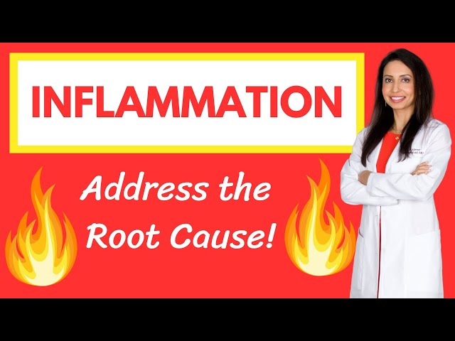 Dr. Rajsree's Guide to INFLAMMATION:  Root Causes, Consequences, and Natural Treatments