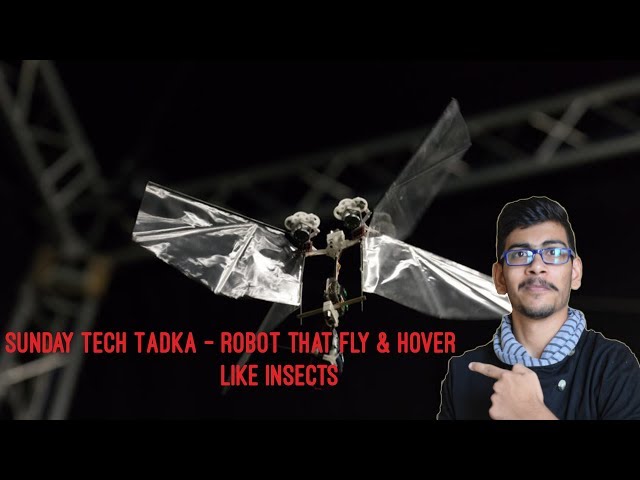 Sunday Tech Tadka - DelFly Nimble A Robot Inspired By Fruit Flies