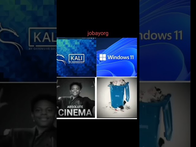 windows 11 vs kali linux 💪 #youtubeshorts #python #linuxcommandlinetutorial #windows  #kali #linux