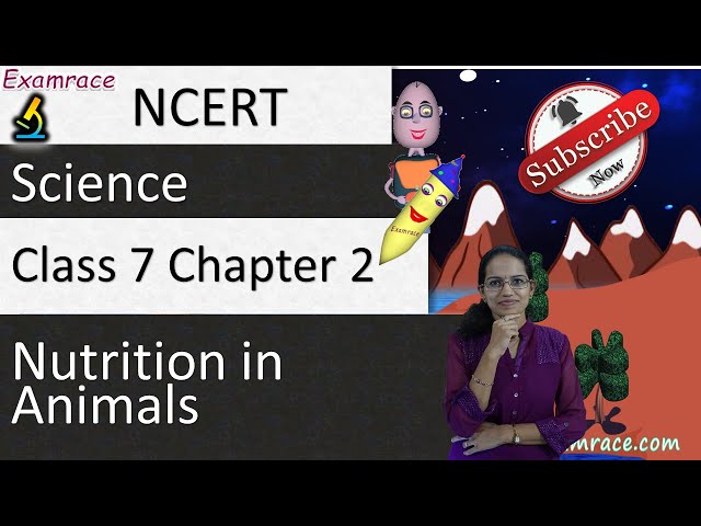 NCERT Class 7 Science Chapter 2: Nutrition in Animals (NSO/NSTSE/Olympiad) | English
