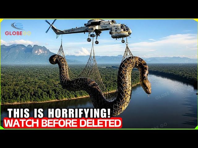 You don't see this every day! Most Gigantic Catches Of All Times Caught On Camera!