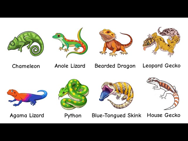 Every Reptile That Can Change Color Explained in 4 Minutes 