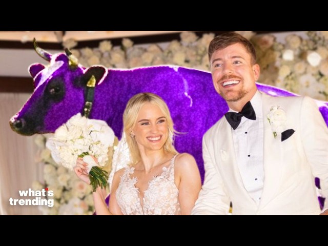 Why MrBeast Was Forced to Turn Off His Cameras