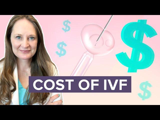 How Expensive is IVF Really? Ideas for Funding Your Fertility Treatment - Dr Lora Shahine