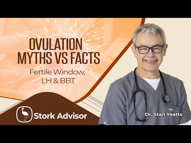 Ovulation Myths vs. Facts: Fertile Window, LH & BBT