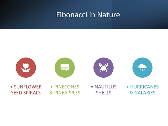 Sam Staley Fibonacci Sequence Presentation