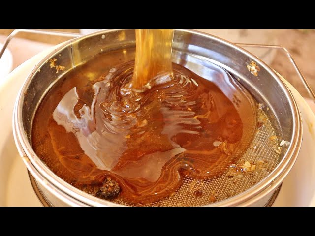 Harvesting 90 Pounds of PURE, GOLDEN Honey!