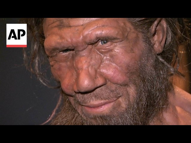New study shows how humans and Neanderthals coupled up
