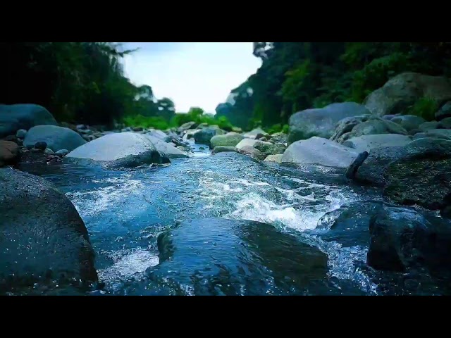 🍃 Gentle River Flow ASMR Sounds for Deep Sleep, Relaxation & Mental Calm