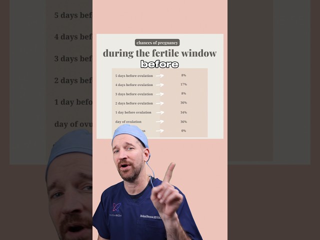 When is the fertile window? #drrich #womenshealth #fertiledays #fertilewindow #fertility #obgyn