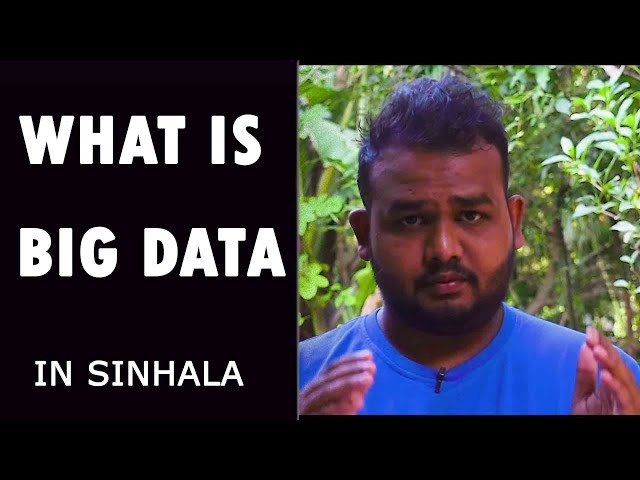 What is big data ? -  Sinhala Explanation (2019) !