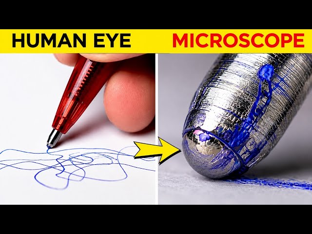 Hidden Things Only Seen Under a Microscope 😱