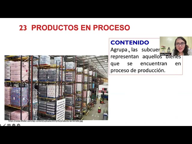 PLAN CONTABLE- ELEMENTO 2: Activo Realizable - CUENTA 20 a la 29 - TEORÍA Y PRÁCTICA
