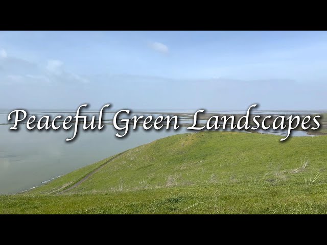 Peaceful Green Landscapes | Relaxing Nature Ambience for Meditation, Study & Sleep
