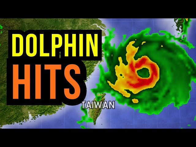 Typhoon Dolphin Hits...