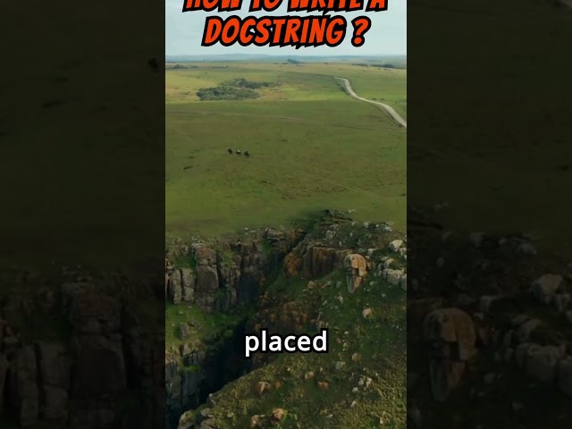 docstring in Python#programminglanguage #shortsvideo