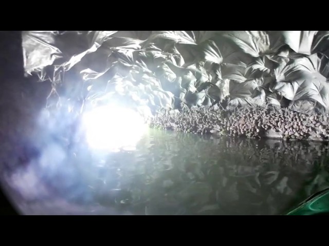 Paseo parque de las leyendas - 360