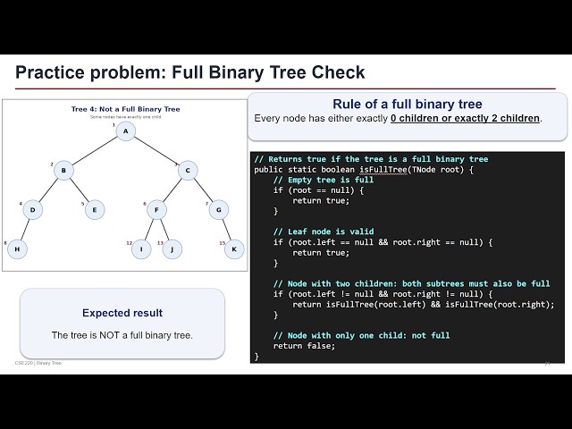 BT Code part6: Identifying a Full Binary Tree: Code Explanation & Simulation