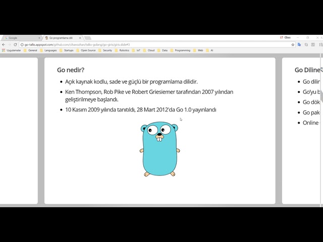 Go Programlama : Golang Nedir?