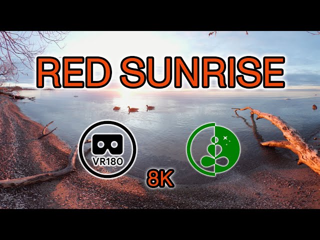 RED SUNRISE | VR180 | 8K | Nature Experience