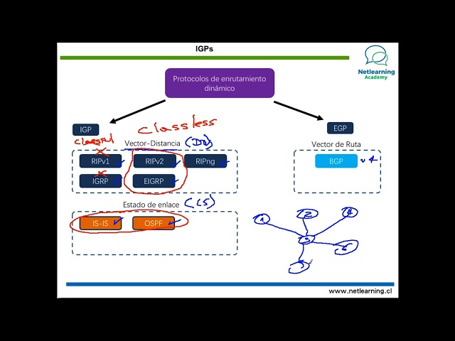 48. Conceptos generales sobre protocolos de Enrutamiento interior (IGPs