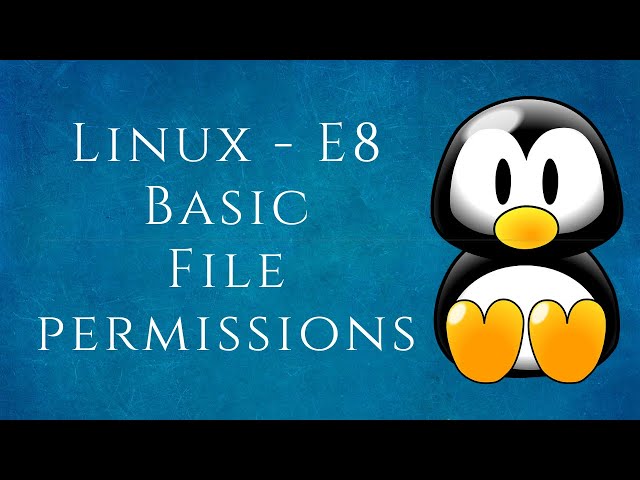 Linux-E8 Basic File Permissions  | chmod command | Tamil
