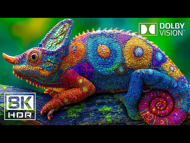 UNBELIEVABLE 16K OLED HDR EXPERIENCE | Dolby Vision 120FPS | 8K/4K ULTRA HD TV