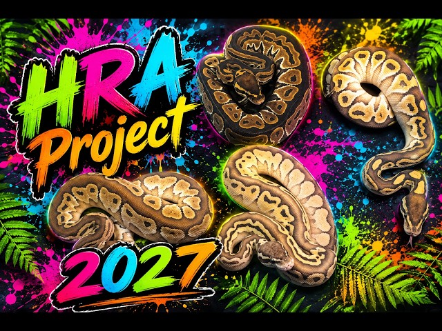 HRA Project Update 2027