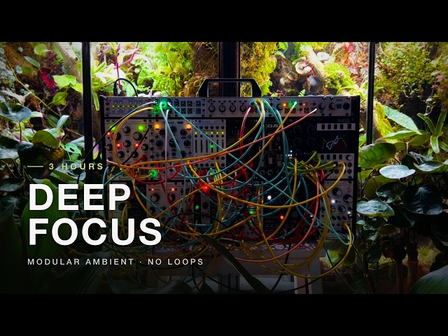 3 Hours of Generative Ambient for Deep Focus · Modular Synth & Tape (No AI)