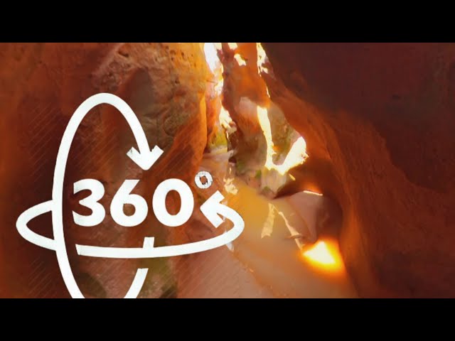 thiruvakkarai fossil wood park-heritage site 360 video |National Fossil Wood Park 360