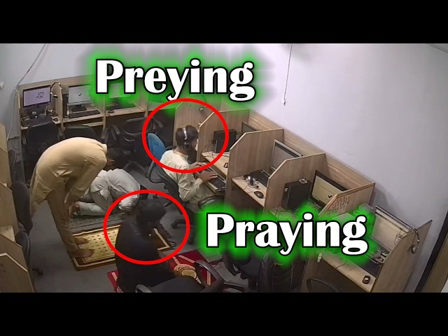 Watching phone scammers for TWO YEARS and forcing them to leave their offices!