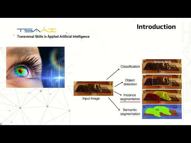 TSAAI M7-03. AI in Sciences. Object Detection and Semantic Segmentation