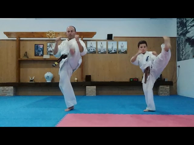 Karate: Clase 1